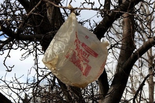 2014_1028_plastic_bag_in_tree